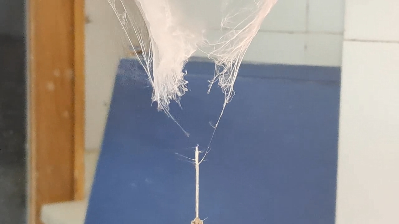 Electrospinning: Solutions of Polystyrene and Polyvinylidene Difluoride in Dimethylformamide